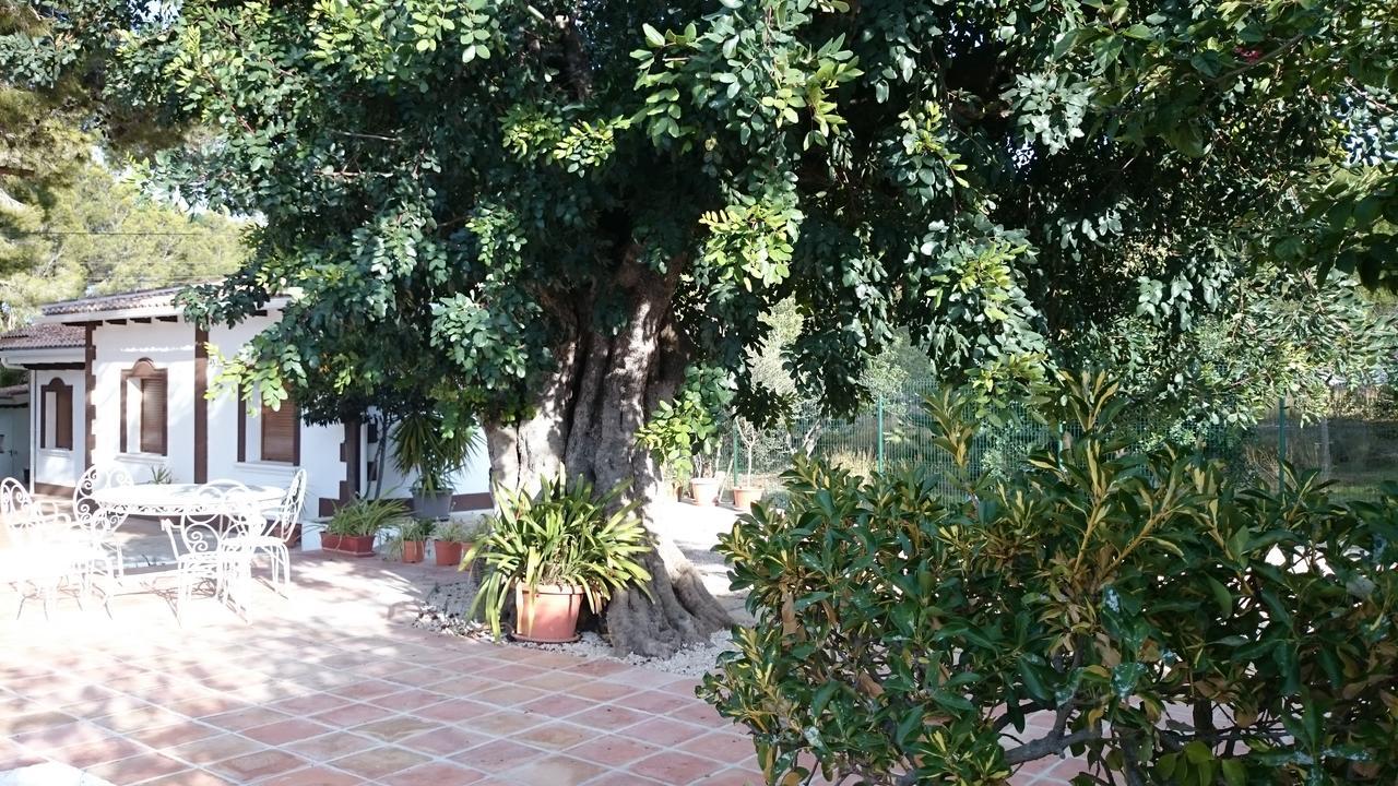 Villa Chabola دينايا المظهر الخارجي الصورة