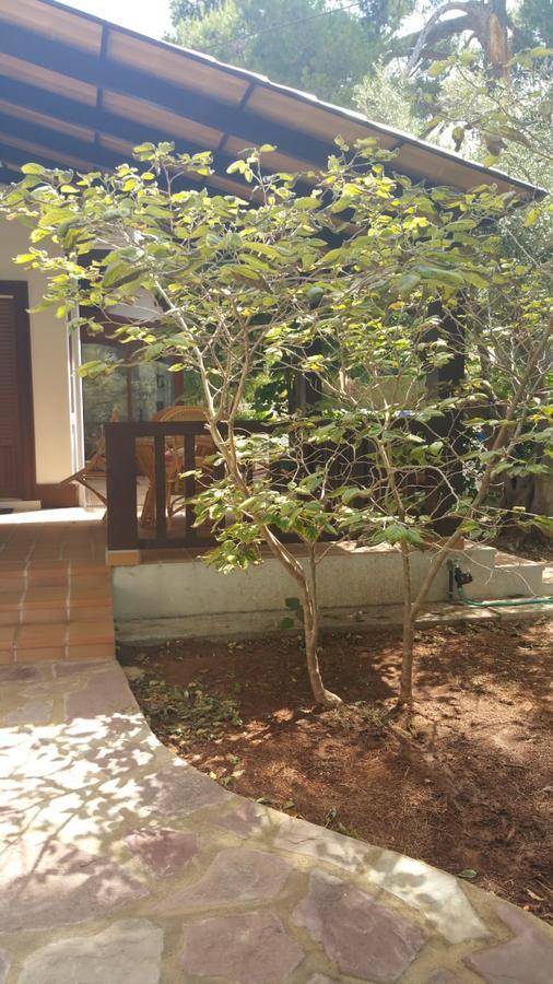 Villa Chabola دينايا المظهر الخارجي الصورة