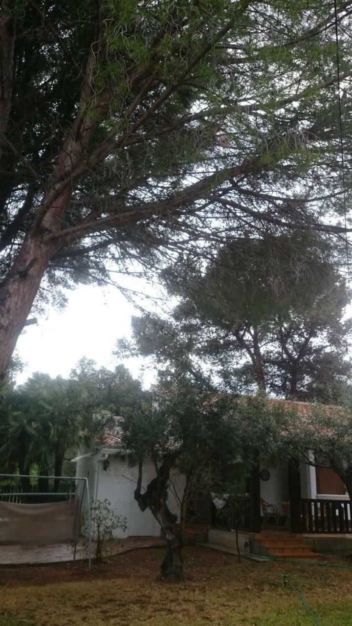 Villa Chabola دينايا المظهر الخارجي الصورة